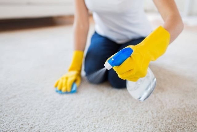 how to clean mouse droppings from carpet