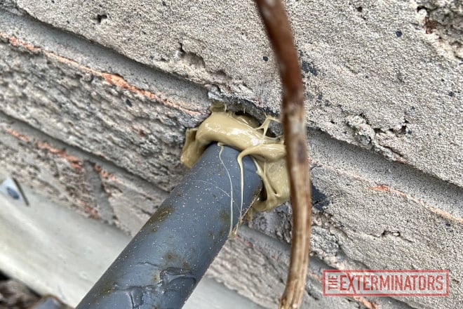 Sealed Gas Line Entry Point Exclusion